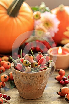 Pot of rose hip, flowers and pumpkins