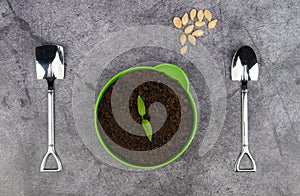 pot for seedlings and seeds on a dark background. spoons in the shape of a shovel. planting seedlings of plants.