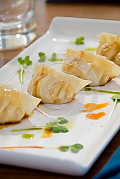 Pot stickers