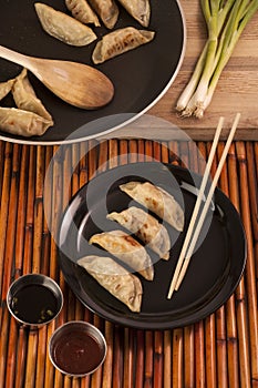 Pot Stickers