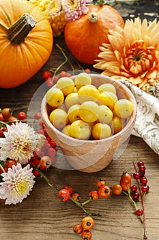 Pot of yellow plums, flowers and pumpkins