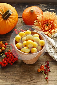 Pot of yellow plums, flowers and pumpkins