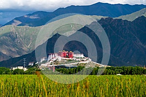 The Potala Palace, the holy place of Tibetan Buddhism photo