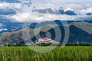 The Potala Palace, the holy place of Tibetan Buddhism photo