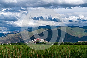 The Potala Palace, the holy place of Tibetan Buddhism photo