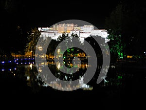 Potala Palace Inverted Image