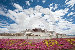Potala palace in Lhasa with flower decoration