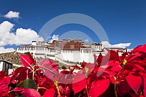 Potala Palace, Lhasa, Tibet