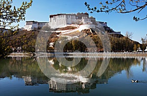 Potala