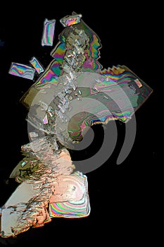 Potassium alum crystals in microscope photo