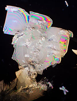 Potassium alum crystals photo