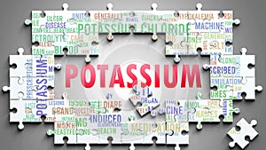 Potassium as a complex subject, related to important topics spreading around as a word cloud