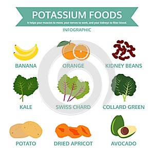 Potassium foods, food info graphic, vector