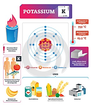 Potassium vector illustration. Chemical element characteristics and uses.