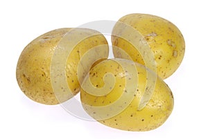 Potato