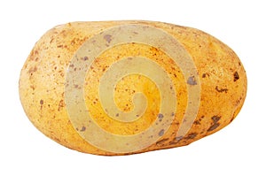 Potato img