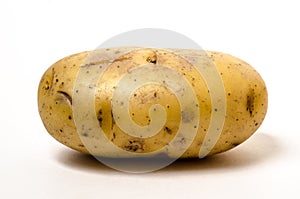 Potato