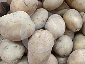 the potato background abstract wallpaper. food  , carbohydrate