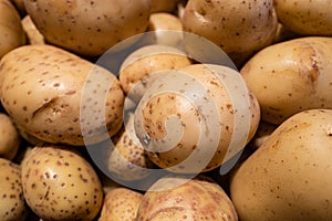 Potato background. Yellow vegetables. Natural food. Organic food.