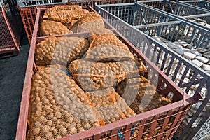 Potato bags in the containers