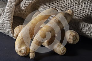 Potato baroa or Mandioquinha Arracacia xanthorrhiza photo