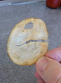 Potato Chip that Looks Like Pac Man