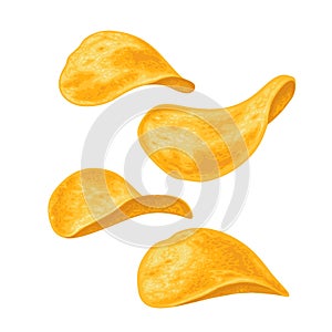 Potato chips. Vector color realistic illustration. Hand drawn design isolated icon