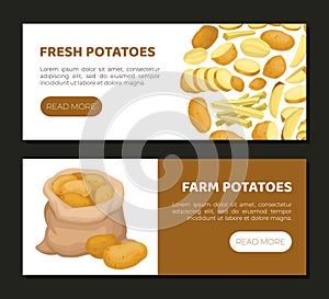 Potato Design with Raw Root Vegetable with Peel Vector Template