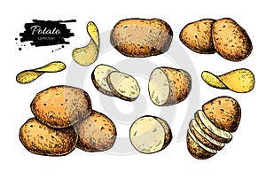 Potato drawing set. Vector Isolated potatoes heap, sliced pieces and chips. Vegetable