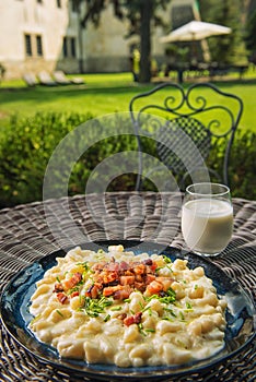 Potato dumplings with sheep cheese and bacon, traditional slovakian food, slovak gastronomy