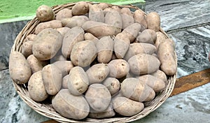 Potato that every person in India eats everyday