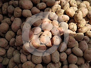Potato farm agriculture background brown food fresh group natural organic.