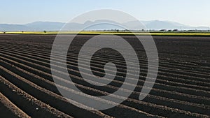 Potato field in spring - farmland in the countryside