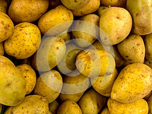 Potato - Fresh Fruit Vegetabels After Harvest