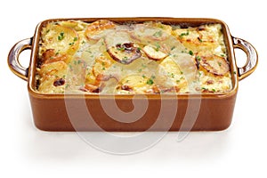 Potato gratin photo