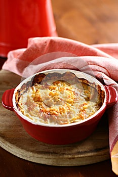 Potato gratin photo