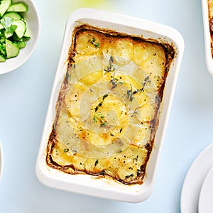 Potato gratin in baking dish