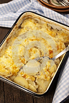 Potato gratin dauphinoise