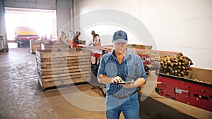 potato harvesting. sorting potatoes. farmer inspects quality of potato crop, using digital tablet. workers sort and cull