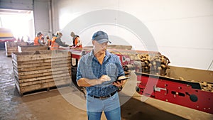 potato harvesting. sorting potatoes. farmer inspects quality of potato crop, using digital tablet. workers sort and cull