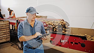 potato harvesting. sorting potatoes. farmer inspects quality of potato crop, using digital tablet. workers sort and cull