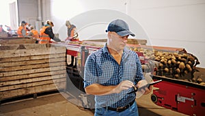 potato harvesting. sorting potatoes. farmer inspects quality of potato crop, using digital tablet. workers sort and cull