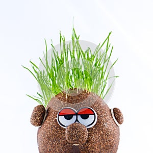 Potato head with grass
