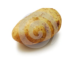 Potato isolated