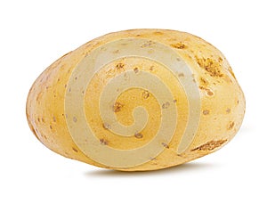 Potato isolated on white