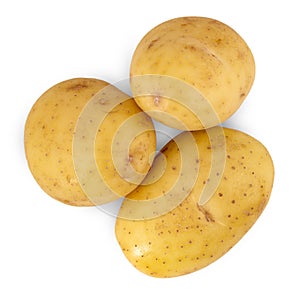 The potato isolated on white background
