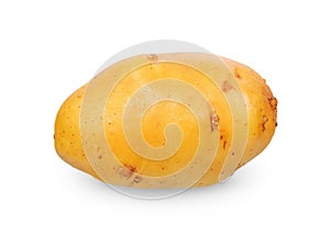 Potato isolated on white background. clipping path