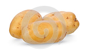 Potato isolated on white background. clipping path