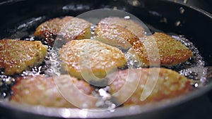 potato latkes. potato patty. cooking. Potato cakes, zrazy. buffet restaurant kitchen. close-up. The cook is flipping