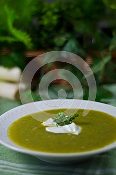 Potato-Leek Soup